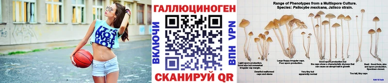Галлюциногенные грибы GOLDEN TEACHER  Купить где  Новый Уренгой 