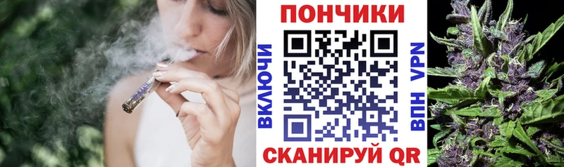 Бошки Шишки MAZAR  Купить закладки  Новый Уренгой 